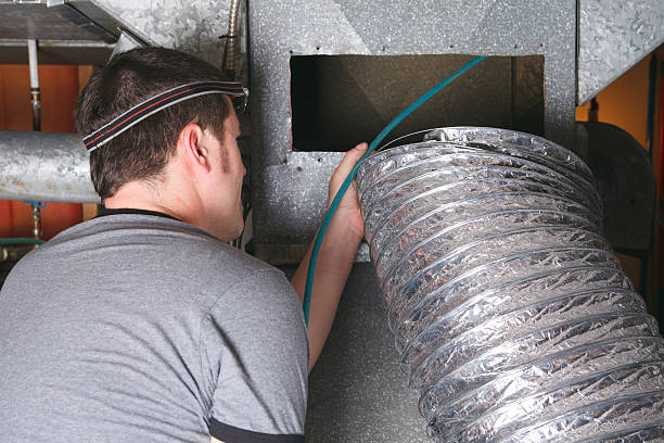 Best Air Duct Mold Removal  in St Joseph, MI