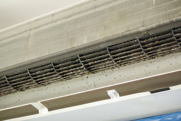 Best HVAC Air Duct Cleaning  in St Joseph, MI